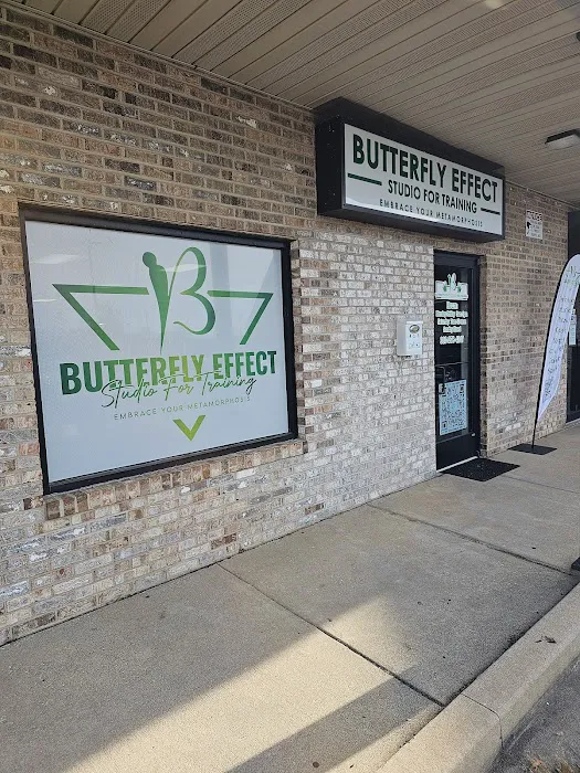 The Butterfly Effect Studio for Training Picture 6