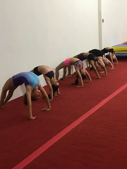 Dream Chasers Gymnastics Picture 8
