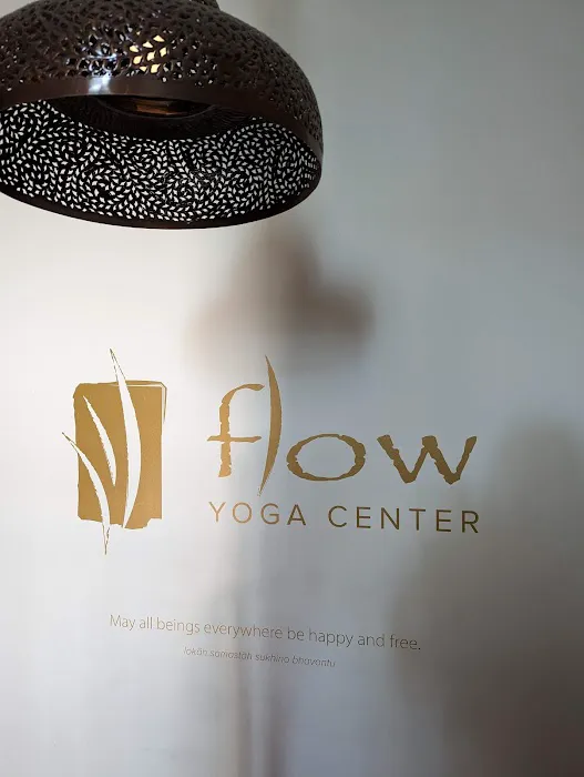 Flow Yoga Center Picture 1