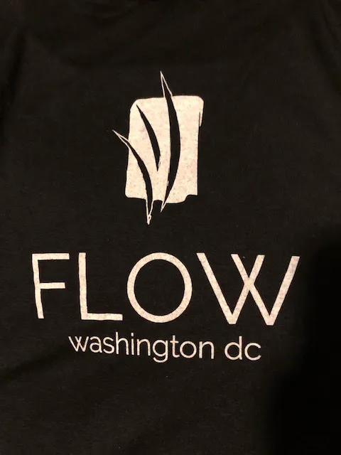 Flow Yoga Center Picture 6