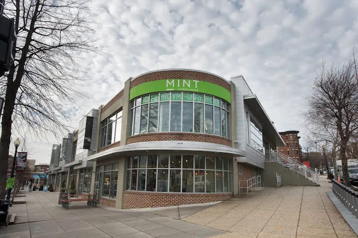 MINT Gym & Studio Picture 8