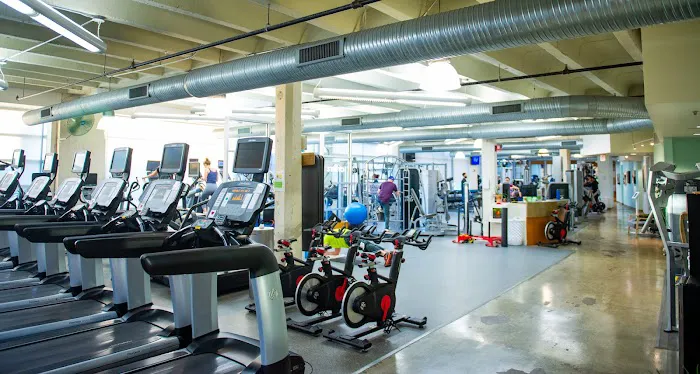 MINT Gym & Studio Picture 7