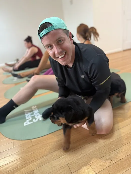Puppy Sphere | Puppy Yoga (DC) Picture 4