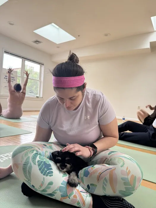 Puppy Sphere | Puppy Yoga (DC) Picture 1