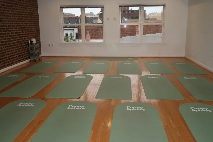 Puppy Sphere | Puppy Yoga (DC) Picture 8
