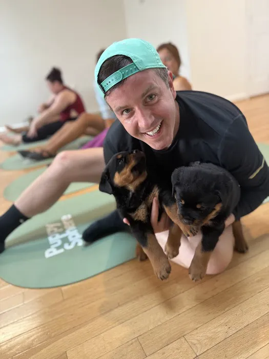 Puppy Sphere | Puppy Yoga (DC) Picture 9