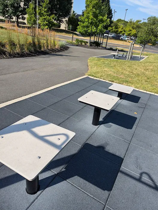 Outdoor Gym Picture 4