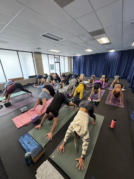 True North Power Yoga Picture 3