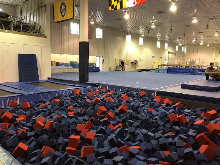 Elite Gymnastics & Recreation Center Picture 6