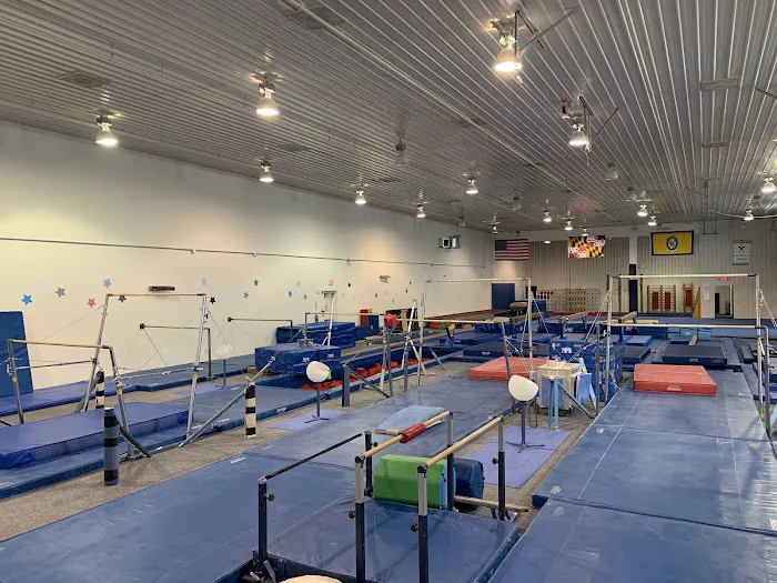 Elite Gymnastics & Recreation Center Picture 2