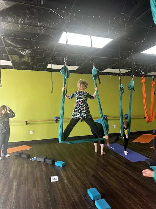 Flying Frog Fitness Picture 4