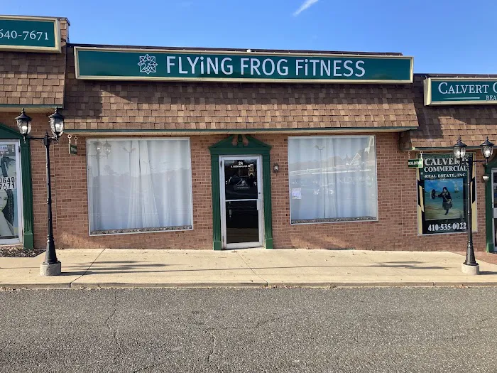 Flying Frog Fitness Picture 3