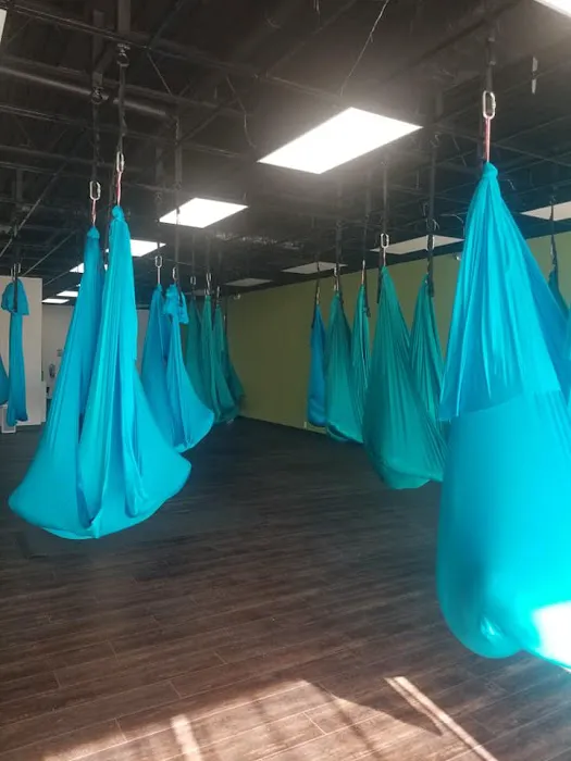 Flying Frog Fitness Picture 1
