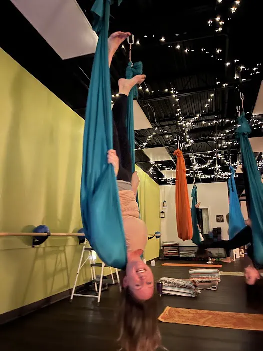 Flying Frog Fitness Picture 5