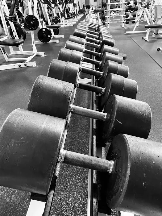 Results Fitness Picture 8