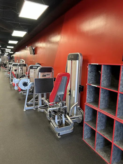 Snap Fitness Alexandria-Belle View Picture 8