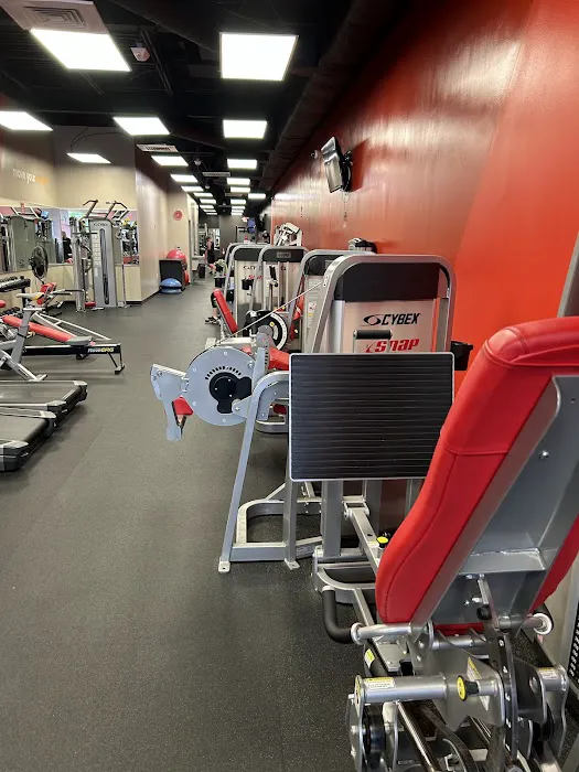 Snap Fitness Alexandria-Belle View Picture 3