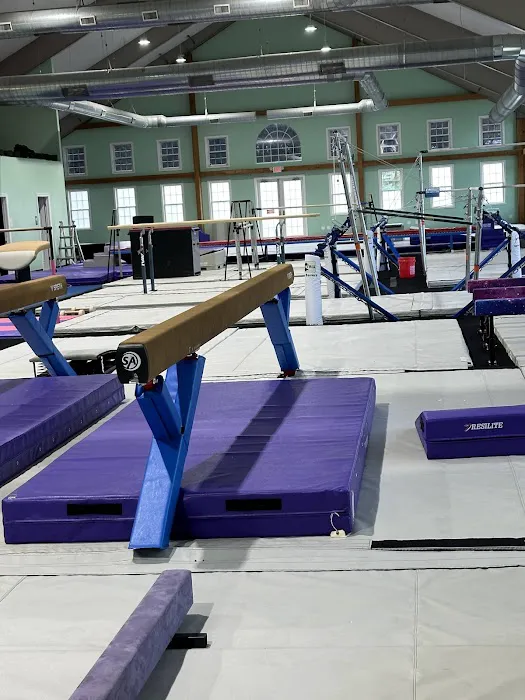 Evolution Gymnastics Picture 1
