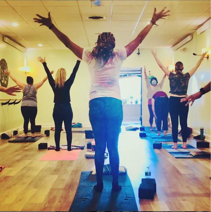 Serenity Yoga & Wellness Picture 9