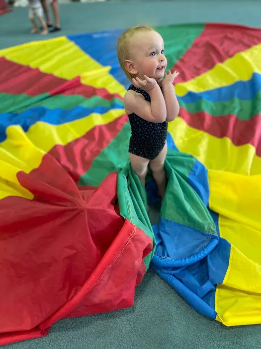 First State Gymnastics Inc Picture 2