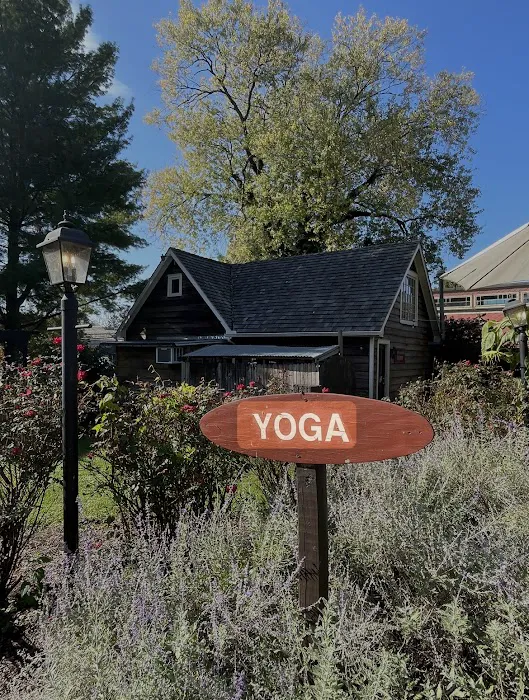 Yoga Underground Picture 3