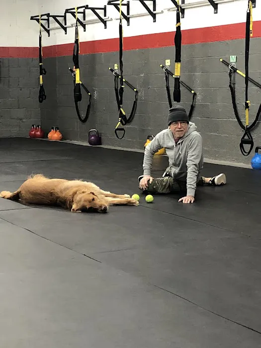 Ace Strength Company Picture 8