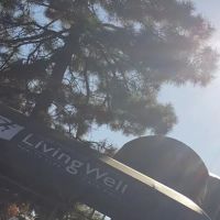 Livingwell Health Club ADA ico