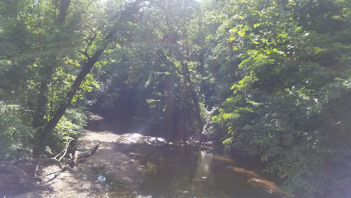 Rock Creek Trail Exercise Course Picture 9