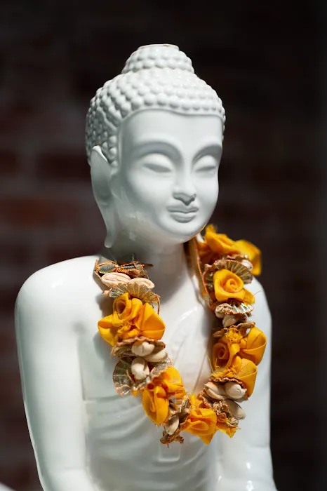 Yoga District - Dupont Picture 2