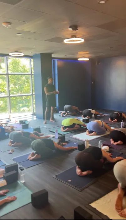 PureFire Yoga Picture 3