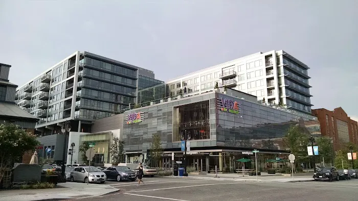 VIDA - Yards Picture 7