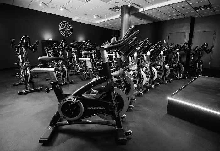 REPFIT Studio Picture 7