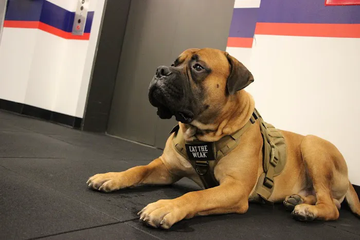 F45 Training Reston Town Center Picture 6
