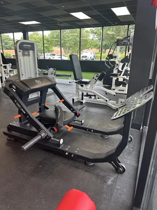 REPFIT Picture 6