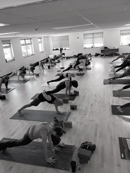 Potomac Flow Yoga Co-op Picture 2