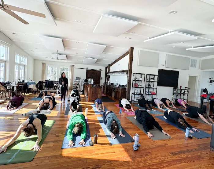 Yoga Shala Picture 3