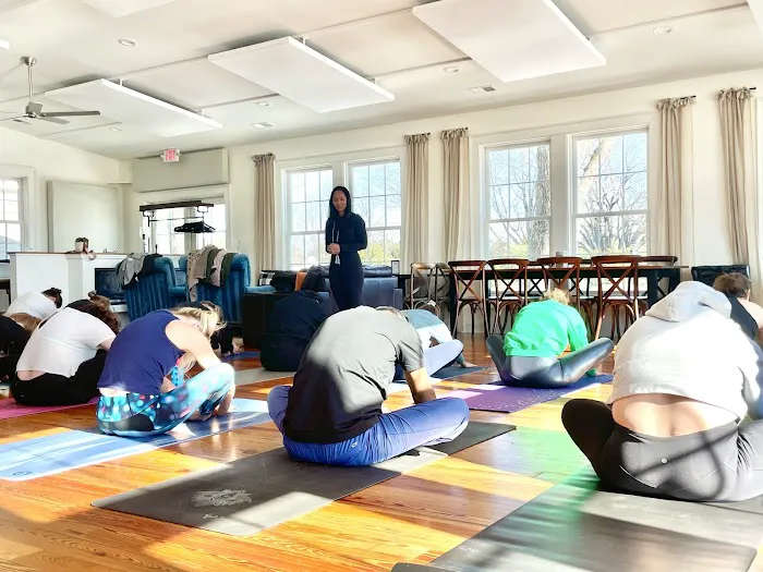 Yoga Shala Picture 7