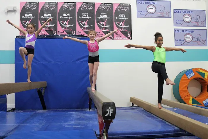 Dulles Gymnastics Picture 4