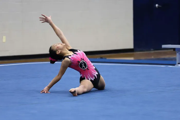 Dulles Gymnastics Picture 6