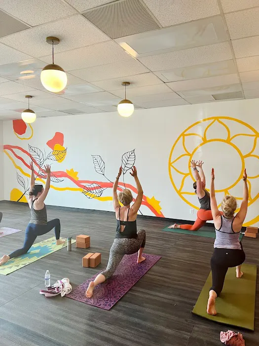 Evolve Yoga Wellness Picture 6