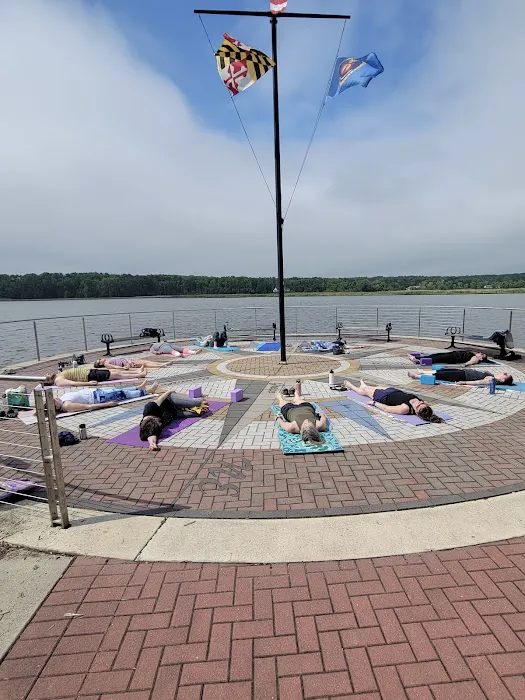 Evolve Yoga Wellness Picture 7