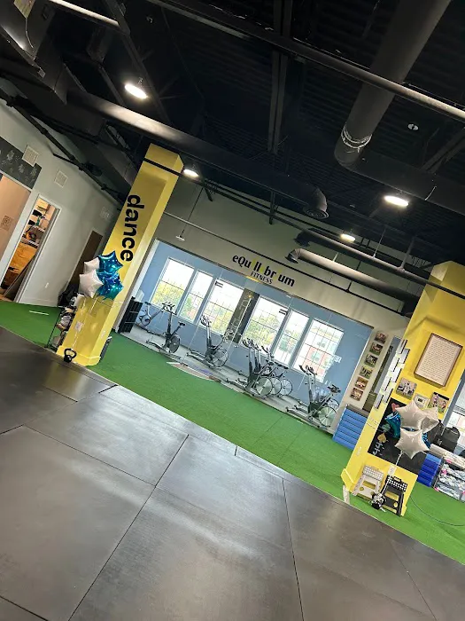 eQuillibrium Fitness Picture 4