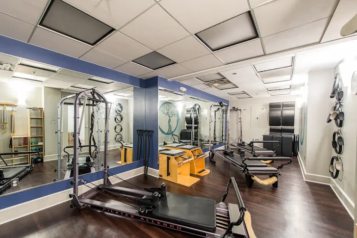 Onelife Fitness - Old Town Picture 8