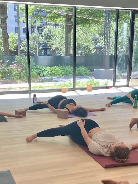 532YOGA Picture 1