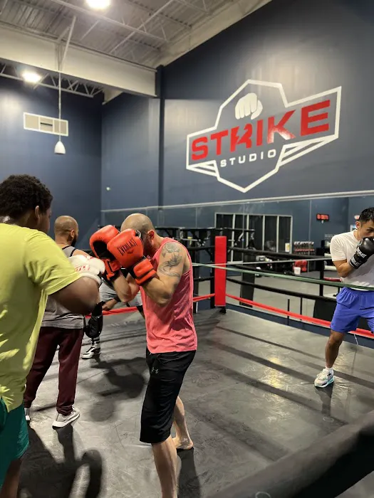 Strike Studio Alexandria - Boxing GYM Picture 7