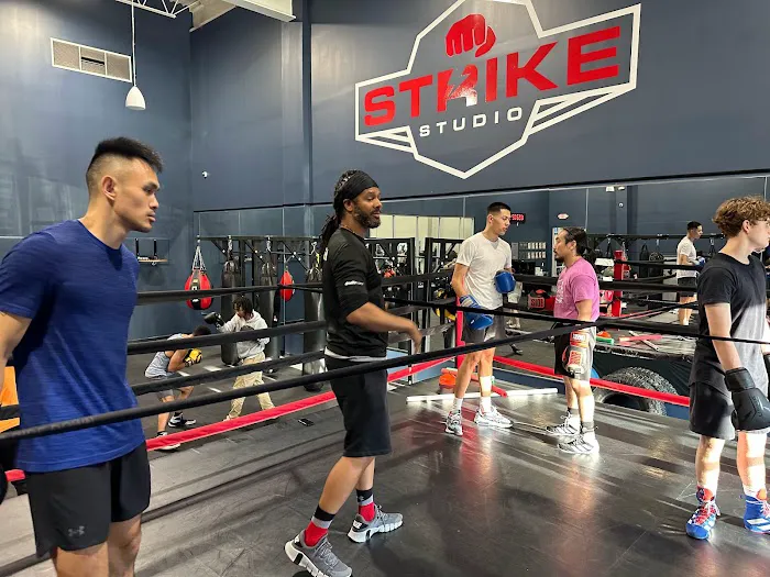 Strike Studio Alexandria - Boxing GYM Picture 8