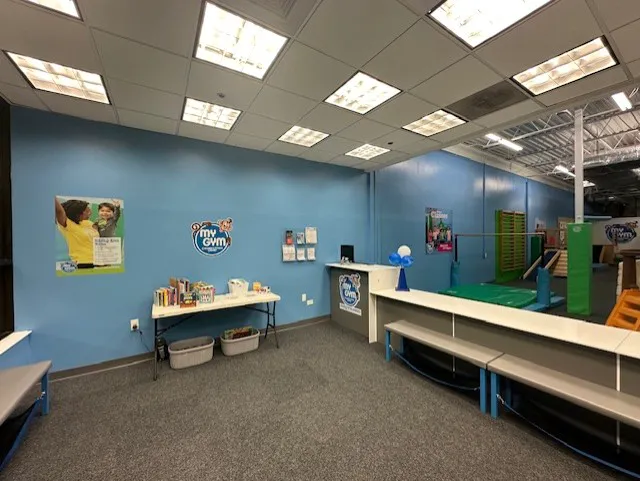 My Gym Children's Fitness Center Picture 2
