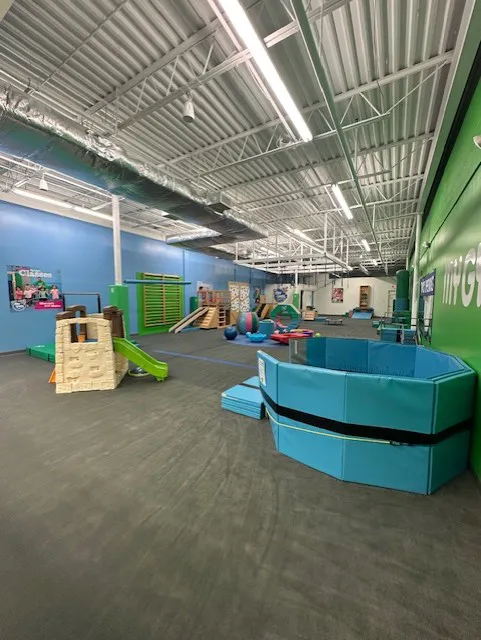 My Gym Children's Fitness Center Picture 4