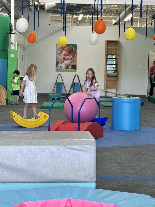 My Gym Children's Fitness Center Picture 6