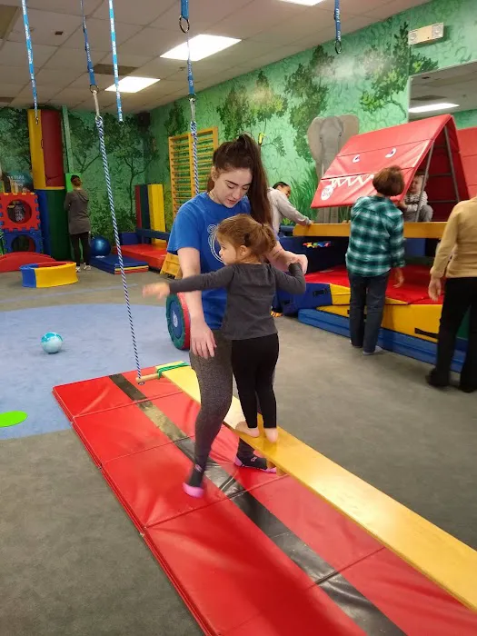 My Gym Children's Fitness Center Picture 8